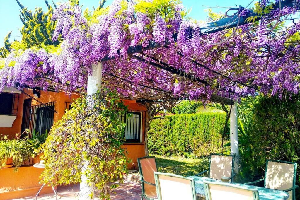 Villa Torrenueva Малага Экстерьер фото